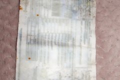 photo_2025-08-04_14-53-12