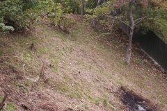 photo_2025-08-04_15-33-32