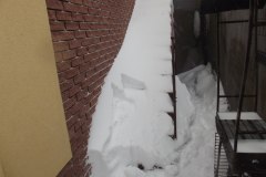 photo_2025-08-04_15-49-46