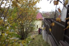 photo_2025-08-04_15-50-59