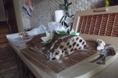 photo_2025-08-04_15-52-24