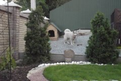 photo_2025-08-04_15-53-51