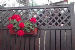 photo_2025-08-04_15-54-23