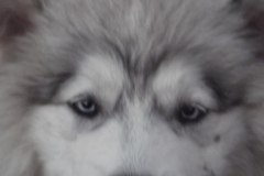 photo_2025-08-04_15-54-26