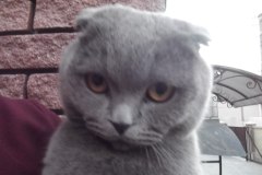 photo_2025-08-04_15-54-29