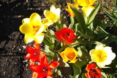 photo_2025-08-04_16-09-29