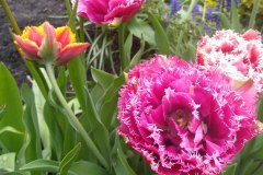 photo_2025-08-04_16-09-32