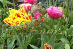 photo_2025-08-04_16-09-35