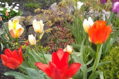 photo_2025-08-04_16-09-37