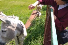 photo_2025-08-04_16-12-00