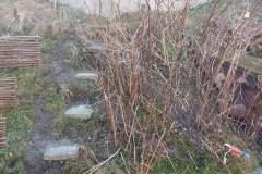 photo_2025-08-04_16-43-59