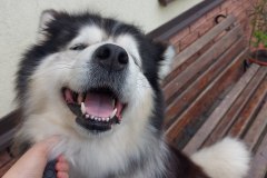 photo_2025-08-04_16-44-33