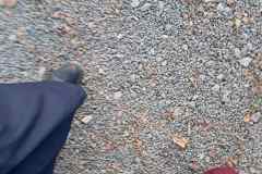 img-ed5e3e11ab551b1d916ced67d411bc59-v