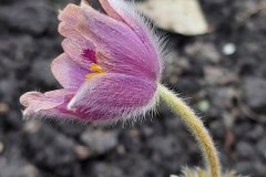 photo_2025-08-04_16-56-45