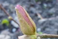 photo_2025-08-04_16-58-33