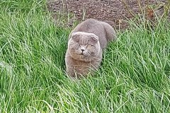 photo_2025-08-04_16-59-24