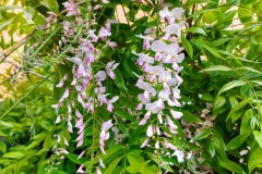 photo_2025-08-04_16-59-36