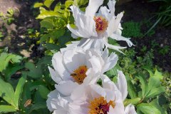 photo_2025-08-04_16-59-40