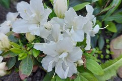 photo_2025-08-04_16-59-42