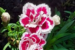 photo_2025-08-04_16-59-45