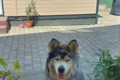 photo_2025-08-04_16-59-48