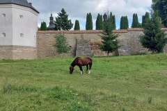 photo_2025-08-04_17-00-41