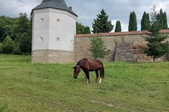 photo_2025-08-04_17-00-44