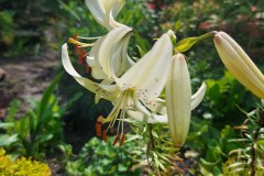 photo_2025-08-04_17-01-42