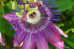 photo_2025-08-04_17-01-45