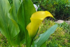 photo_2025-08-04_17-01-47