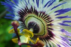 photo_2025-08-04_17-01-52