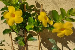 photo_2025-08-04_17-01-55