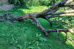 photo_2025-08-04_17-01-58