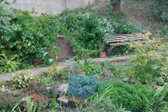 photo_2025-08-04_17-02-01