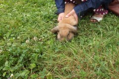 photo_2025-08-04_15-36-02