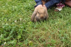 photo_2025-08-04_15-36-05