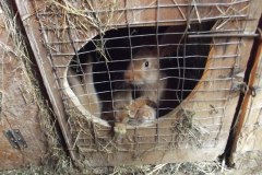 photo_2025-08-04_15-37-23