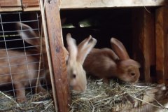 photo_2025-08-04_15-37-25