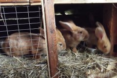 photo_2025-08-04_15-37-28