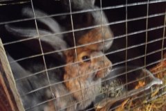 photo_2025-08-04_15-37-31