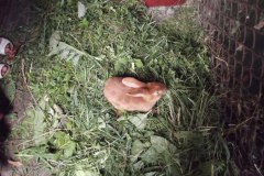 photo_2025-08-04_15-37-43