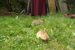 photo_2025-08-04_15-37-49