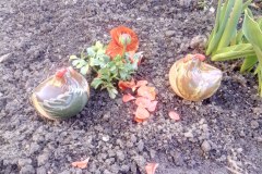 photo_2025-08-06_13-24-23