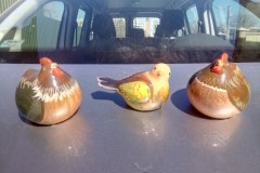 photo_2025-08-06_13-24-26