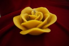 photo_2025-08-06_13-24-59