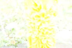 photo_2025-08-06_13-25-05