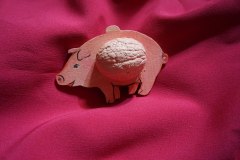 photo_2025-08-06_13-25-40