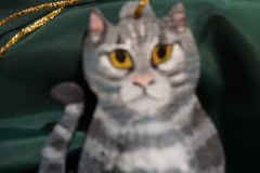 photo_2025-08-06_13-25-56