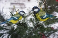 photo_2025-08-06_13-26-07