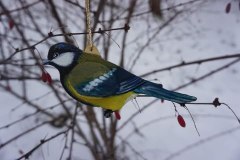 photo_2025-08-06_13-26-10